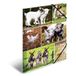 HERMA 19344 Verzamelmappen A4 dierenwerelden, boerderijdieren, 3 stuks, kinderhoekspanner-mappen van karton met interne druk en elastiek, stevige kartonnen omslagmappen, voor jongens en meisjes