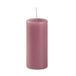 12 Cereria Di Giorgio 12 stompkaarsen, diameter 5 cm, hoogte 15 cm, kleur pruim, brandduur 48 uur, niet geparfumeerd