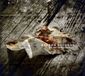 Let Broken Records Let Me Come Home LP