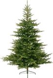 Everlands Grandis fir - kunstkerstboom groen 2,7m x 1,72m