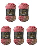 5 Wollbiene 5 x 100 g Batik wol met kleurverloop meerkleurige breiwol haakwol (5050 bruin bessen roze)