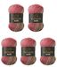 5 Wollbiene 5 x 100 g Batik wol met kleurverloop meerkleurige breiwol haakwol (5050 bruin bessen roze)