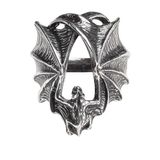 Alchemy Gothic Stealth Unisex Ring - Zilverkleurig