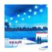 In Janne & De Vogels Schra - In De Regen (CD)