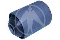 SIDEM 801705 Struik, bladveer