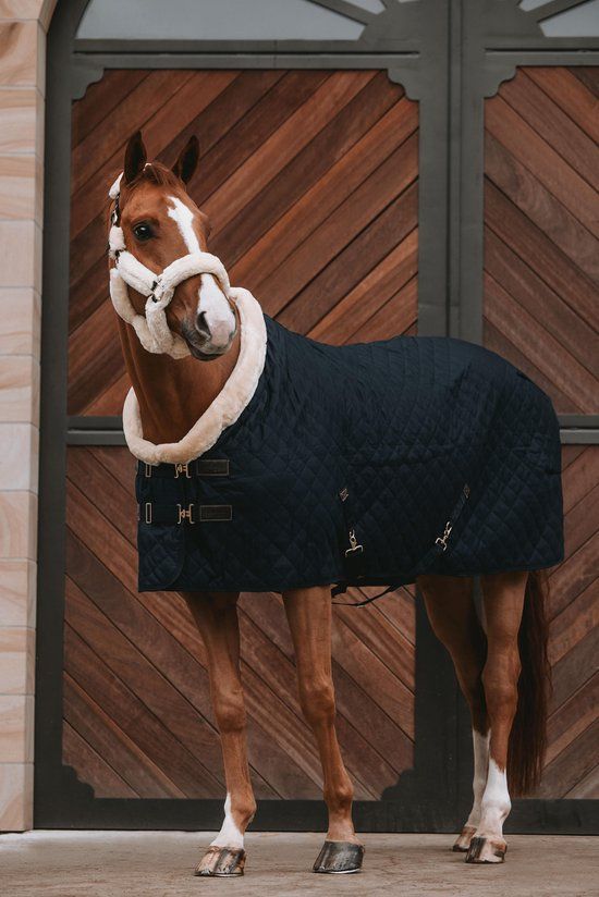 Kentucky Horsewear Showdeken Zwart 165 - 160 gram - 4-seizoenen