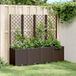 Maison Exclusive - Jardinière avec treillis, marron, 160 x 40 x 140 cm, PP