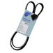 Blue Print AD05R1205 V-ribriem 5 aantal ribben, 1 stuk