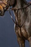 Dy on Running Martingale - Brown - Full