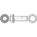 TOOLCRAFT TO-5444547 Zeskantbout M12 60 mm Buitenzeskant 88913 100 stuk(s)