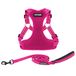 Best Pet Supplies Voyager verstelbare hondenriem met reflecterende strepen voor wandelen, zwaar lichaam, zonder trekvest met riem, D-ring, ademend weerharnas (Fuchsia), M