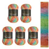 Wollbiene Crazy Cotton Batik, 5 x 100 g, 500 gram met kleurverloop, 55% katoen, meerkleurig, breiwol, wol, voor het hele jaar (6010 oranje groen mint)