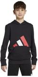 Adidas Essentials Hoodie Zwart 15-16 Years Jongens,Meisjes
