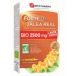 Forté Pharma Gelée Royale 2500mg 20 Flacons