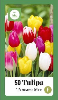 Jub Holland Tulpen Triumph mix bloembollen - 50 stuks