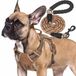 Chien Harnais - Réglable - Avec sangles Molle - Pour chiens de taille moyenne - Noir
