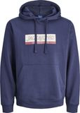 JACK&JONES JORINWOOD BLOCK BRANDING SWEAT HOOD Heren Sweaters