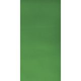 Rayher 3103729 decoratieve was, groen, 2 decoratieve wasplaten 20 x 10 cm, waxfolie om kaarsen te versieren, kaarswas, wasfolie