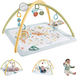 Fisher-Price Simply Senses Newborn Gym - Babygym - Met speelspeelkleed