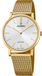 Festina F20022/1 Heren Polshorloge Analoog Quartz Staal Goudkleurig Zilverkleurig Saffierglas 5 ATM