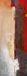Your Decoration B.V. Kunstdruk Flory Aerts - Vertical I 35x100cm