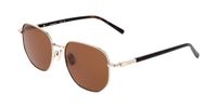 Ferragamo SF328S Lunettes de soleil Homme Or/brun