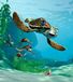Fotobehang Disney Fotobehang FTDNxl5110 Photomurals Nemo