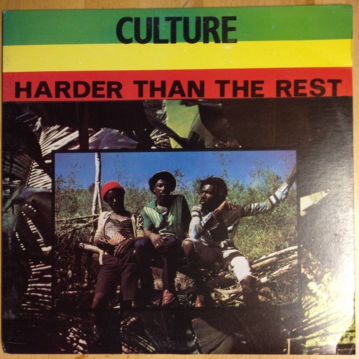 Sonic Harder Than The Rest - Muziek - 0881026010163