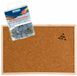 Merkloos / Sans marque Stylex Prikbord 58 x 39 cm met 100 witte platte punaises