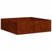 VidaXL Plantenbak Staal Roestkleur 100x100x30 cm