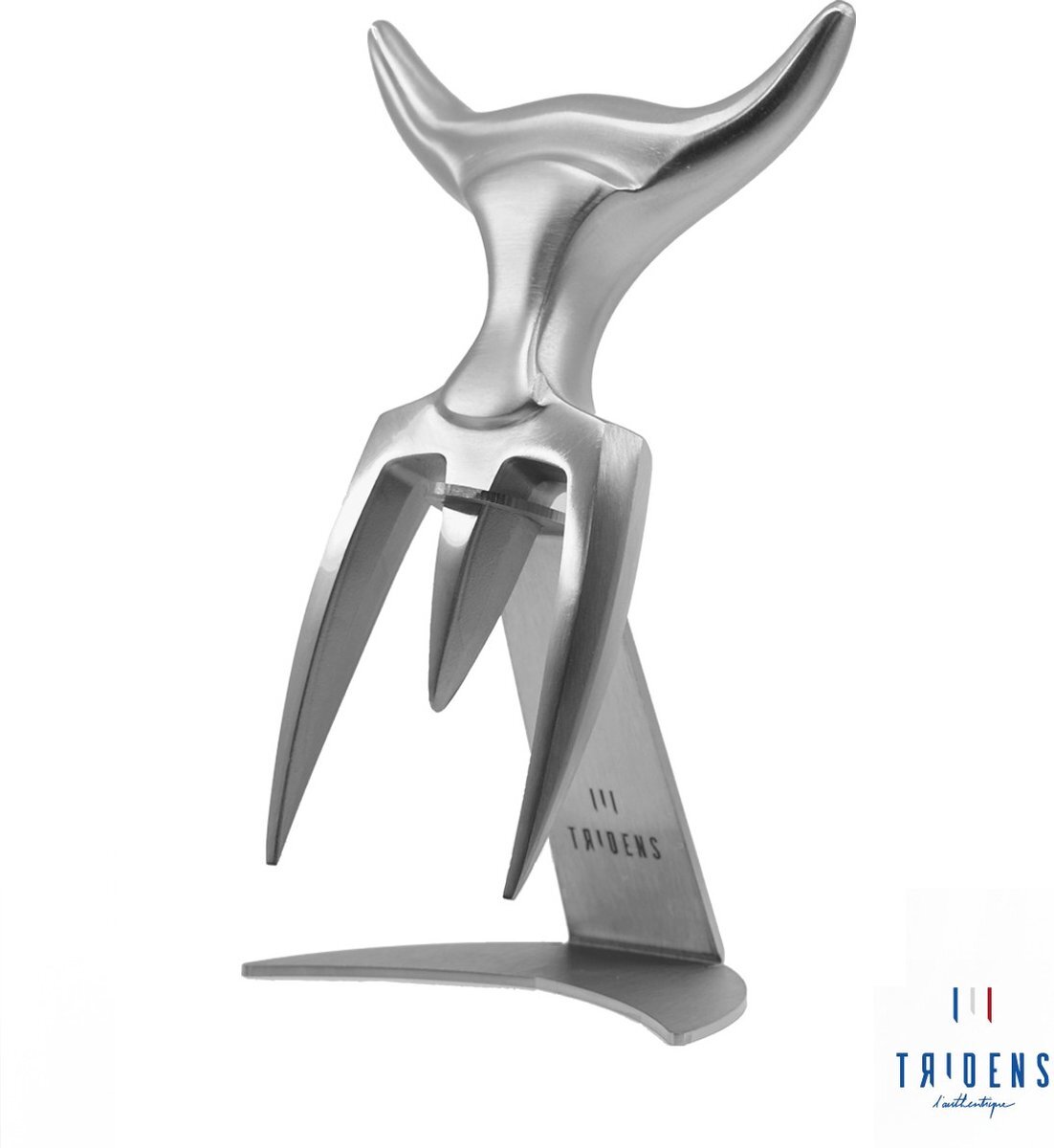 Tridens Brushed Fork in stainless steel holder (Vleesvork in RVS standaard)