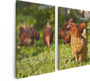 Artaza Canvas Schilderij Tweeluik Kippen in het Gras - 80x60 - Canvas Print