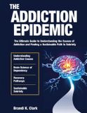 THE Bol The Addiction Epidemic Paperback