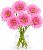 DK design Kunstbloem Gerbera