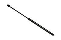TarosTrade 229-0624-N-74872 Gasveer voor de achterklep