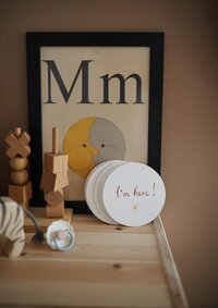 Mushie Milestone Cards - Multicolor - Baby