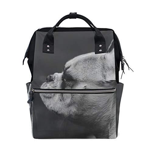 MONTOJ Bulldog Canvas Rugzak Reiscampus Rugzak