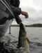 Savage Gear Gravity Twitch MR Wobbler - 8,3cm 10g