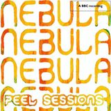 Suburban Nebula Peel Sessions