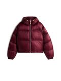 TOMMY HILFIGER Winterjas Bourgogne