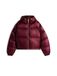 TOMMY HILFIGER Winterjas Bourgogne