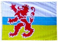 PartyXplosion Originele Limburgse vlag met leeuw - 8713647970453