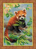 Riolis Borduurpakket Rode panda