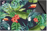 Dietrix Inductie Beschermer - 78x52 cm - Jungle Toekans
