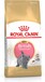 Royal Canin Breed British Shorthair Kitten 2kg