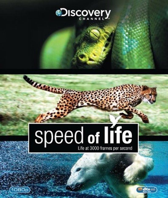 Baeckens Speed Of Life (Blu-ray)