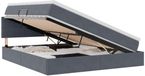 vidaXL Opbergbed met hoofdeinde Donkergrijs 160 x 200 cm Fluweel