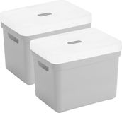 Sunware Opbergboxen met transparante deksel - 2x stuks - lichtgrijs - 18 liter