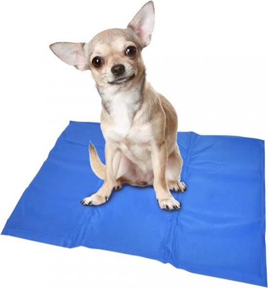 Duvo+ Koelmat Hond - Blauw - XXL - 120 x 80 cm