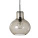 Theluz 466/30FM Plafondverlichting Zwart LED E27